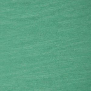 Organic Tshirt You had me at Hola Mintgreen