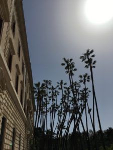 blue sky sun building palm trees