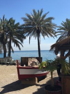 boat palm trees beach sea blue sky