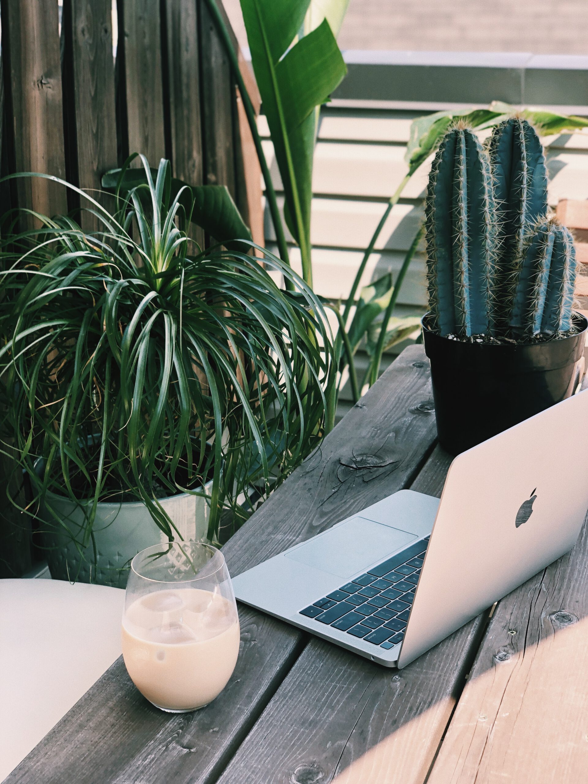 laptop at table outside with plants and coffee